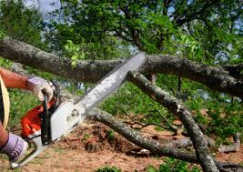 Best Lawn Grading and Leveling  in Troy, PA